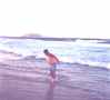 Ocean